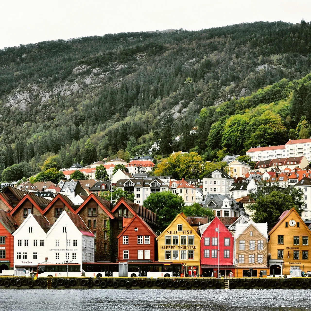 Oslo czy Bergen: które miasto wybrać na pierwszy raz w Norwegii